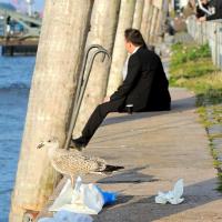 4907_6912 Ruhe abseits vom Treiben - Kai mit Streichdalben am Altonaer Fischmarkt. | Altonaer Fischmarkt und Fischauktionshalle